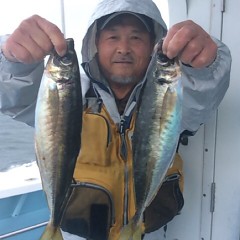 4月17日 （月）午前便・アジ釣りの写真その2