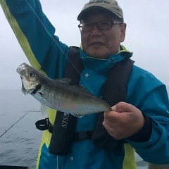 4月17日 （月）午前便・アジ釣りの写真その4