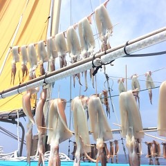 7月28日（金） 一日便・スルメイカ釣りの写真その7