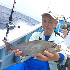 6月97日（火）午前便・イサキ釣りの写真その1