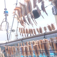 7月26日（木）1日便・スルメイカ釣りの写真その8