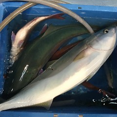 12月 2日（日） 午前便・ヒラメ釣り 午後便・ウタセ真鯛の写真その8