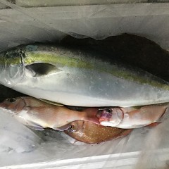 5月2日（水）午前・アジ釣り・午後便・マダイ釣りの写真その5