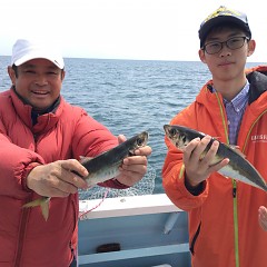 5月 3日（金） 午前便・アジ釣りの写真その1