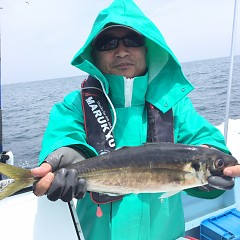 5月 3日（金） 午前便・アジ釣りの写真その3