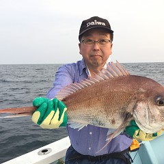 5月 3日（金） 午後便・ウタセ真鯛の写真その1