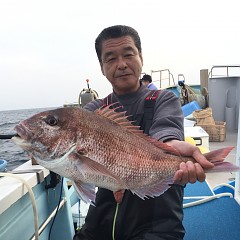 5月 3日（金） 午後便・ウタセ真鯛の写真その4