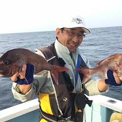 5月 3日（金） 午後便・ウタセ真鯛の写真その8