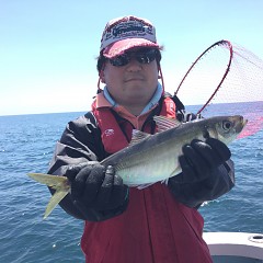 5月 4日（土） 午前便・アジ釣りの写真その3