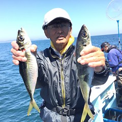 5月 4日（土） 午前便・アジ釣りの写真その4