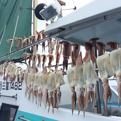 7月22日（月）スルメイカ釣りの写真その1