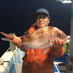 9月 17日（火） 午前・タテ釣り 午後・ウタセ真鯛の写真その5