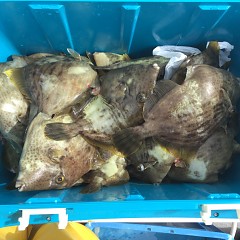 10月 26日（土） 午前・カワハギ釣り 午後便・ウタセ真鯛の写真その1