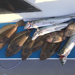 12月 20日（金） 9時出船・ヒラメ釣りの写真その1