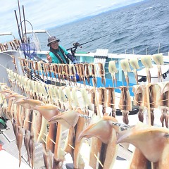 7月12日（日）スルメイカ釣り1日便の写真その1