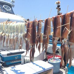 7月 19日（日） 1日便・スルメイカ釣りの写真その6