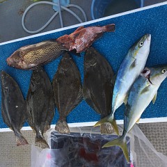 11月 22日（日） 午前・ヒラメ釣り 午後・ウタセ真鯛の写真その6