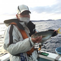 3月 1日（月）午前・泳がせ釣り 午後・アジ釣りの写真その2
