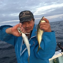3月 1日（月）午前・泳がせ釣り 午後・アジ釣りの写真その6