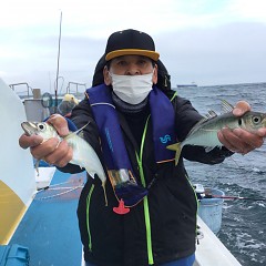 3月 6日（土）午前便・アジ釣りの写真その3