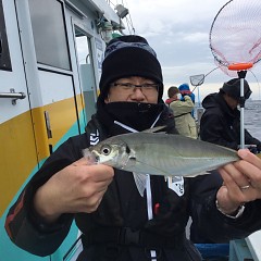 3月 6日（土）午前便・アジ釣りの写真その6