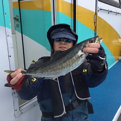 3月 6日（土）午後便・アジ釣りの写真その4