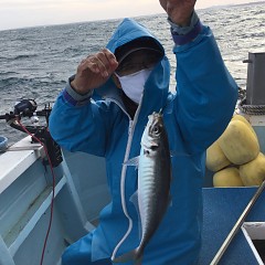 3月 6日（土）午後便・アジ釣りの写真その5