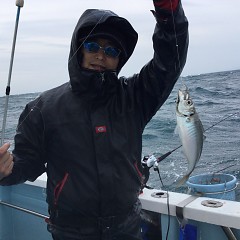 3月 6日（土）午後便・アジ釣りの写真その6