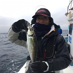 3月 7日（日）午前・午後・アジ釣りの写真その5