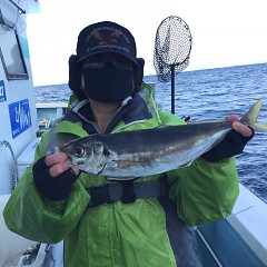 3月 11日（木） 午前・午後・アジ釣りの写真その3