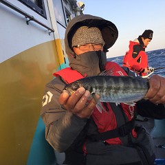 3月 14日（日）午前・午後・アジ釣りの写真その1