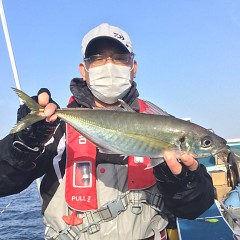 3月 19日（金）午後便・アジ釣りの写真その4