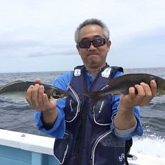5月 28日（金） 午前・アジ、イサキ釣り 午後・ウタセ真鯛の写真その3