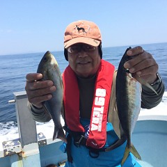 6月 9日（水）午前便・イサキ、アジ釣りの写真その2