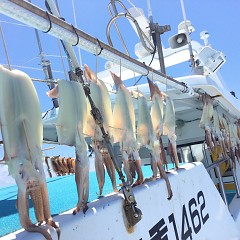 7月 21日（水）1日便・スルメイカ釣りの写真その6