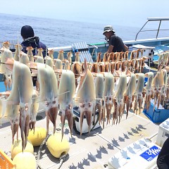7月31日（土）1日便・スルメイカ釣りの写真その3