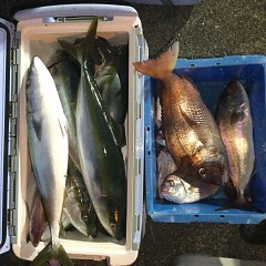 10月 24日（日）午前・カワハギ釣り 午後・ウタセ真鯛の写真その5