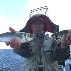 1月 26日（水）アジ釣りの写真その4