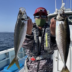 3月 16日（水） 午後便・アジ釣りの写真その2