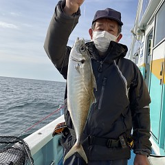5月 2日（月） 午前便・午後便・アジ釣りの写真その2