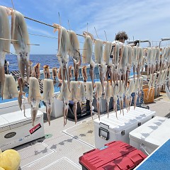 6月 27日（月） スルメイカ釣りの写真その8