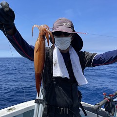 6月 29日（水） スルメイカ釣りの写真その6