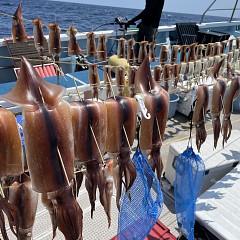 7月 22日（木） スルメイカ釣りの写真その4