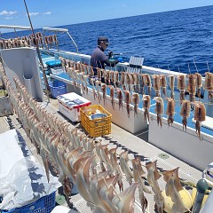 7月 23日（土） スルメイカ釣りの写真その8