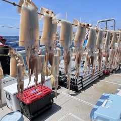 8月 1日（月） スルメイカ釣りの写真その3