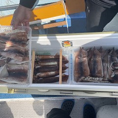 8月 1日（月） スルメイカ釣りの写真その6