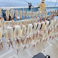 8月 4日（木） スルメイカ釣りの写真その4
