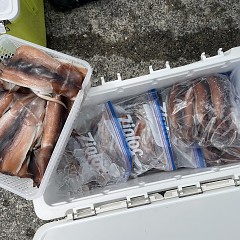 8月 4日（木） スルメイカ釣りの写真その6