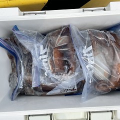 8月 4日（木） スルメイカ釣りの写真その8