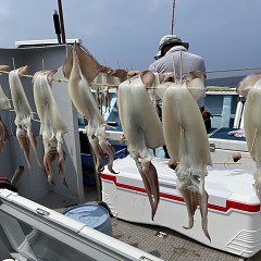 8月 15日 （月） スルメイカ釣りの写真その5